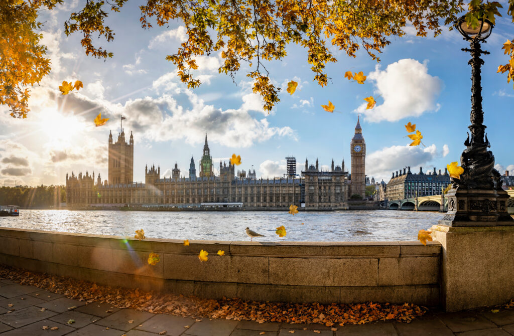 Panoramic view of Westminster and Big Ben with an autumnal tree overhanging and orange leaves falling